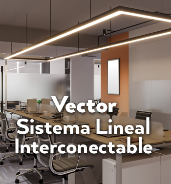 Construlita Vector vector e m